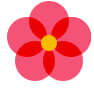 pixabay